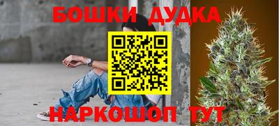 apvp Гай