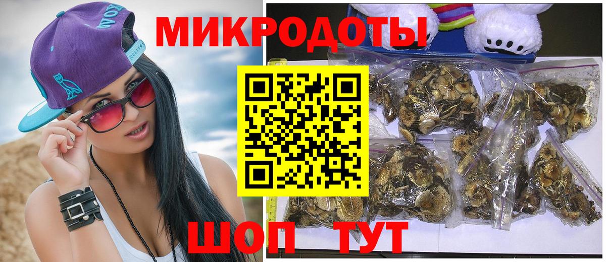 Псилоцибиновые грибы Psilocybe  Вход с VPN  Знаменск 